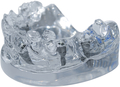 tioLogic® TWINFIT demonstration model, acrylic, maxilla, partially toothed, 4 implants, without prosthetics