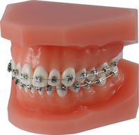 dinamique® m demonstration model