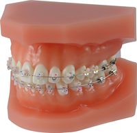 dinamique® c demonstration model